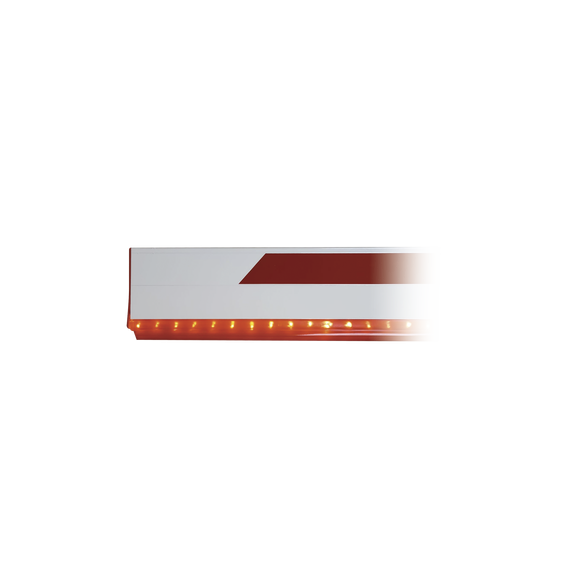 FAAC 390993 MANGUERA LED EN ROJO DE 12 METROS PARA BARR