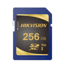 HIKVISION HS-SD-P10/256G Memoria SD Clase 10 de 256 GB