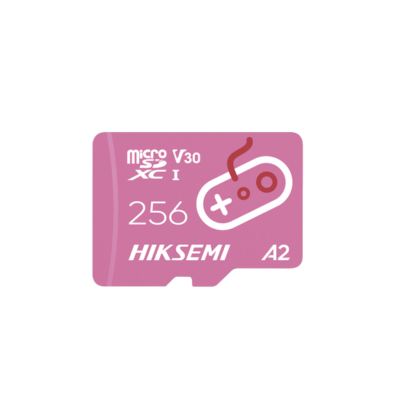 HIKSEMI by HIKVISION HS-TF-G2/256G Memoria Micro SD / E