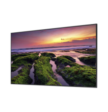 SAMSUNG ELECTRONICS QB55C Pantalla Profesional LED de 5