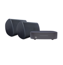VSSL A1X/2WSB KIT Amplificador VSSL A1X | 2 Bocinas par