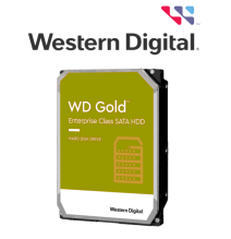 WESTERN DIGITAL TVM110078 WESTERN WD102KRYZ- Disco duro