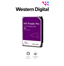 WESTERN DIGITAL TVM110063 WESTERN WD101PURP- Disco Duro