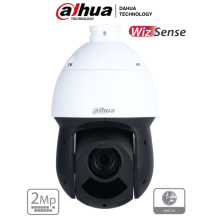 DAHUA DHT0060035 DAHUA SD49216DB-HNY - Camara IP PTZ de