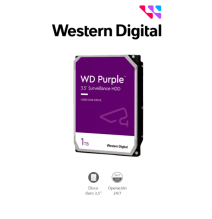 WESTERN DIGITAL WDC1490026 WESTERN WD11PURZ - Disco Dur