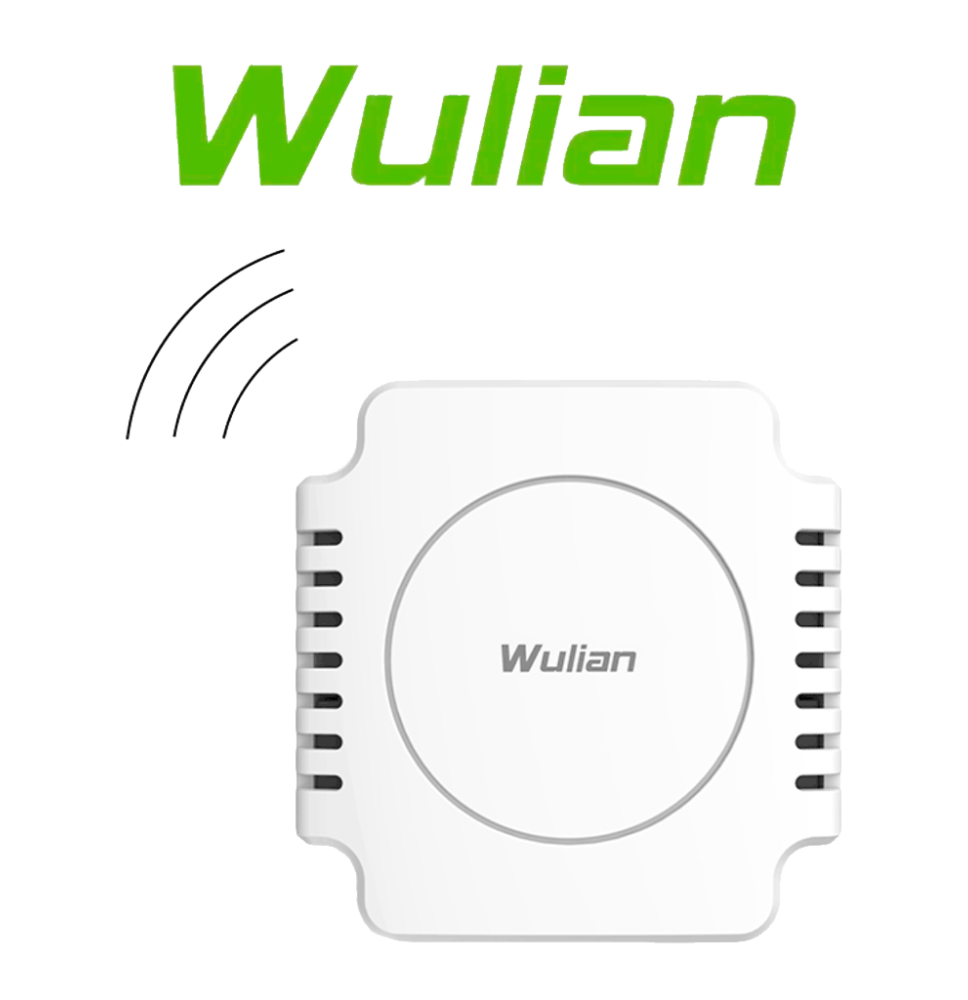 WULIAN WLN481025 WULIAN SMARTAUX - Convertidor de Analó